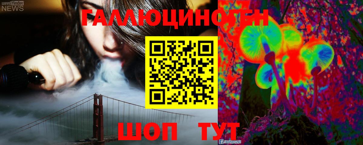 Псилоцибиновые грибы Psilocybine cubensis Ростов Великий
