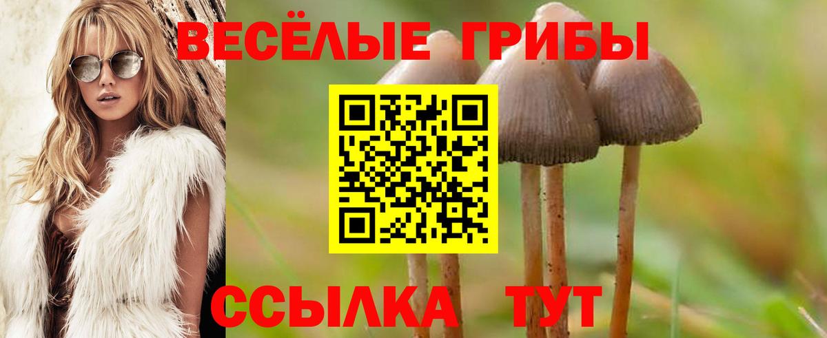 Галлюциногенные грибы GOLDEN TEACHER  Вход с VPN  Ростов Великий 